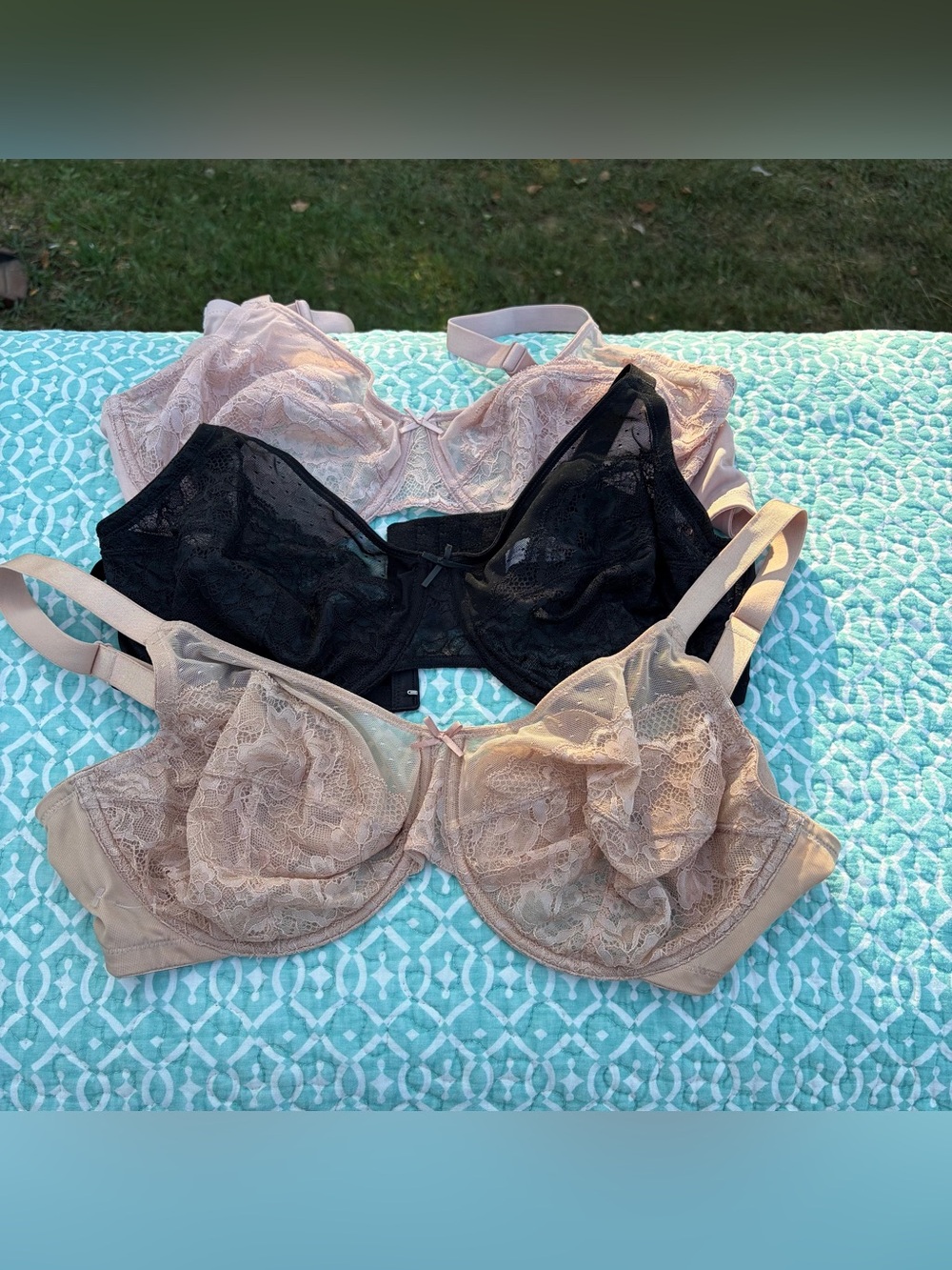 HSIA Unlined Lace Minimizer Underwire Bra Bundle 38DD Lot of 3 nude blush Black
